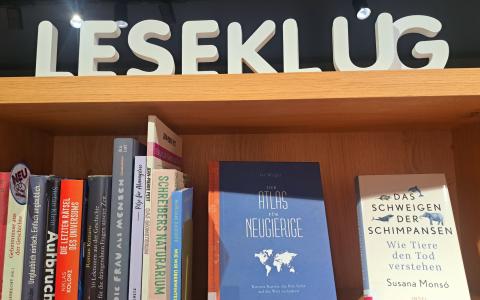 leseklug